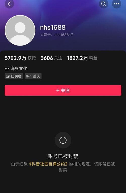 倪海杉被爆料过吗视频播放,真相究竟如何? 第1张 倪海杉被爆料过吗视频播放,真相究竟如何? 第1张